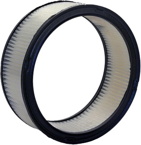 Bosch 5234WS Workshop Engine Filter - متوافق مع بويك المختار ، كاديلاك ، المدقق ، شيفروليه ، GMC ، Jeep ، Oldsmobile ، Pontiac in Kuwait
