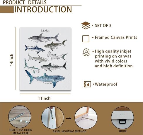 NOGRIT Shark Wall Art Set of 3, 1114 Inch, Classroom & Dorm Decor, Gift for Shark Lovers in Kuwait