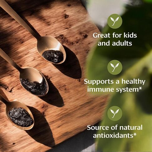 Banyan Botanicals Chyavanprash - مربى الأعشاب الايورفيدا العضوية مع العسل الخام ، Amla & Ashwagandha - ملحق دعم مناعي Superfood Superfitized* - 16.9 أوقية - غير وكراتيرد ؛ in Kuwait