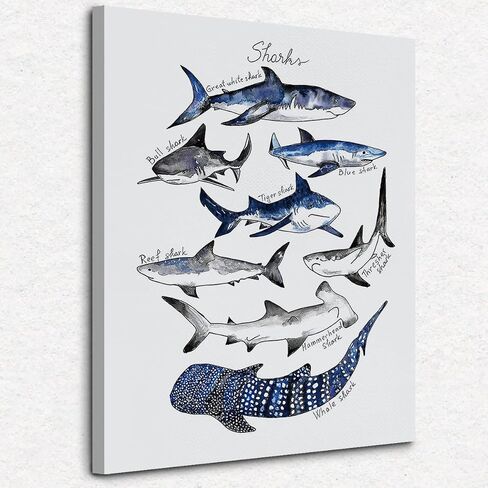 NOGRIT Shark Wall Art Set of 3, 1114 Inch, Classroom & Dorm Decor, Gift for Shark Lovers in Kuwait