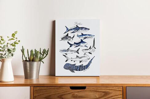 NOGRIT Shark Wall Art Set of 3, 1114 Inch, Classroom & Dorm Decor, Gift for Shark Lovers in Kuwait