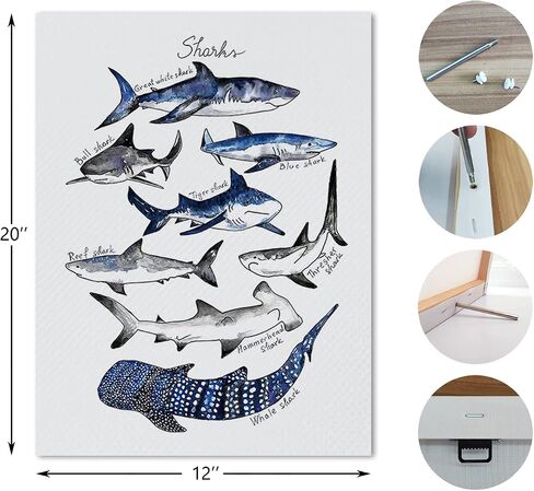 NOGRIT Shark Wall Art Set of 3, 1114 Inch, Classroom & Dorm Decor, Gift for Shark Lovers in Kuwait