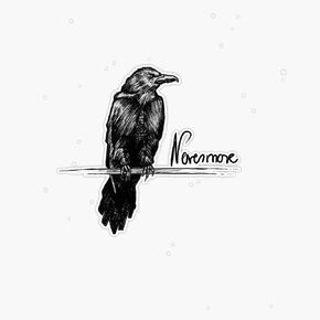 Nevermore Raven with Quote | Edgar Allan Poe Illustration Bumper Sticker Vinyl Decal 5 inches in Kuwait