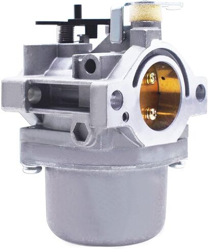 munirater Carburetor Replacement for Briggs & Stratton 289702 289707 28D702 28D707 Engine Lawn Mover in Saudi Arabia