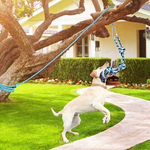 LOOBANI Dog Spring Pole Toy for Pitbull, Outdoor Durable Hanging Rope Tug Toys for Exercise & Muscle Building & Bite Training, Interactive Tug of War Game for Medium to Large Breeds Solo Play(Blue) in Kuwait