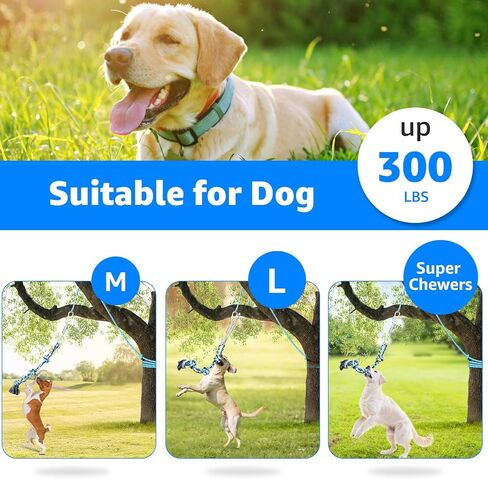 LOOBANI Dog Spring Pole Toy for Pitbull, Outdoor Durable Hanging Rope Tug Toys for Exercise & Muscle Building & Bite Training, Interactive Tug of War Game for Medium to Large Breeds Solo Play(Blue) in Kuwait