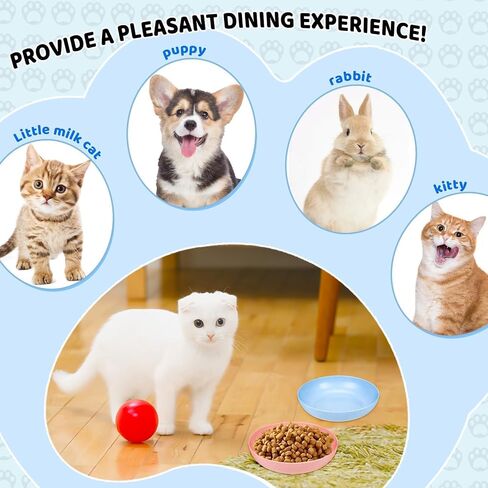 Tkonline 10 قطع وعاء قطة الإغاثة من الإغاثة من الإغاثة ، طبق قطة بلاستيكية ضحلة 5.7 بوص in Kuwait
