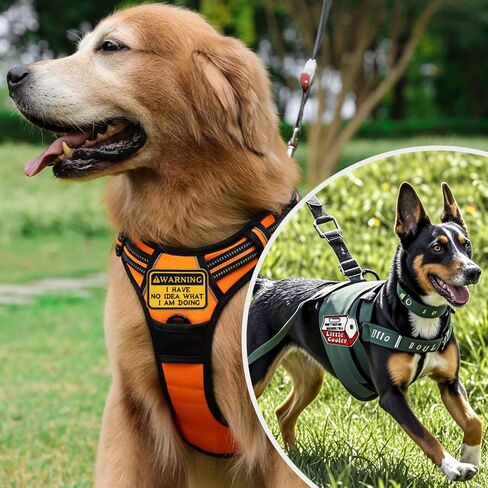 6PCS Funny Tactical Morale Patches with Hook and Loop, Embroidered Military Patch for Backpacks, Vests, Jackets, Lunch Bags, Hats, Dog Harness in Kuwait