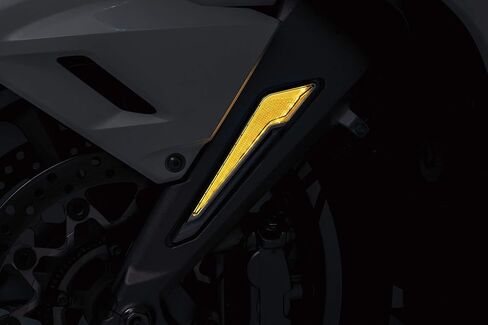 ملحقات إضاءة دراجة نارية Kuryakyn 3252: إدراج شوكة الإضاءة/الدوران Omni LED لـ Honda Gold Wing 2018-20 ، 1 ، Chrome in Saudi Arabia