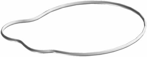 Polaris RZR Stator Cover Seal, Genuine OEM Part 5413972, Qty 1 in Saudi Arabia