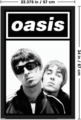 Trends International Oasis - Black and White Wall Poster, 34L x 22.4W, Unframed Version in Saudi Arabia