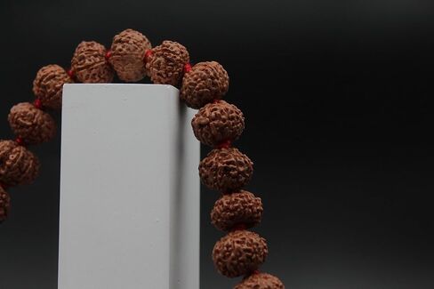 Energized 9 Mukhi Rudraksha Mala Original Certified 108 Beads for Men and Women, Nine Face Faced Rudraksha Japa Kanthi for Pooja Astrology in Saudi Arabia
