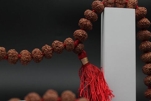 Energized 9 Mukhi Rudraksha Mala Original Certified 108 Beads for Men and Women, Nine Face Faced Rudraksha Japa Kanthi for Pooja Astrology in Saudi Arabia