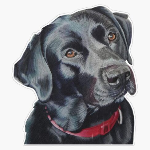 Indi The Black Labrador Vinyl Waterproof Sticker Decal Car Laptop Wall Window Bumper Sticker 5" in Saudi Arabia