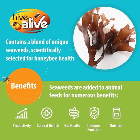 HIVE ALIVE Fondant Bee Food Supplement - with Vitamins & Amino Acids - Feed Enhancer Improves Colony Health, Population & Honey Production - Ideal Winter, Spring Feed to Lower Mortality - 5lb, 6Pack in Kuwait