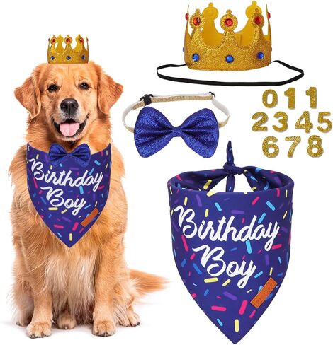 Ptdecor Dog Birthday Party Supplies ، Birthniday Boy Bandana Golden King Crowns with Truments Puppy Blue Dog Bow for median اطلب من الحيوانات الأليفة الصغيرة (الأزرق) in Kuwait
