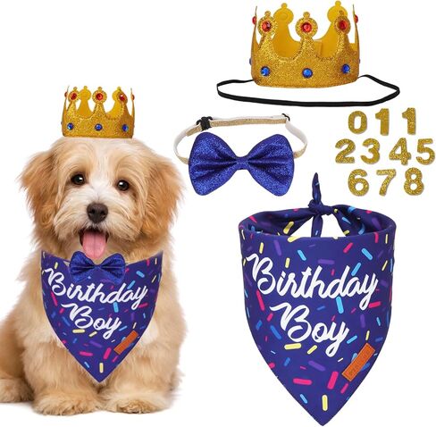Ptdecor Dog Birthday Party Supplies ، Birthniday Boy Bandana Golden King Crowns with Truments Puppy Blue Dog Bow for median اطلب من الحيوانات الأليفة الصغيرة (الأزرق) in Kuwait