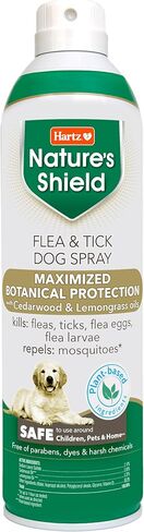 Hartz Nature’s Shield Flea & Tick Dog Shampoo Maximized Botanical Protection & Prevention with Cinnamon, Citronella & Rosemary Oils, 14 Ounces in Kuwait