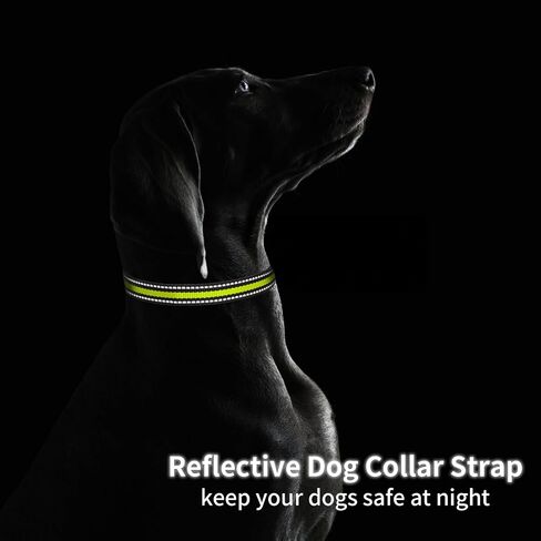 حزام بديل Ewlar ، طوق عيد الميلاد الأنيق والراحة مع مشبك قوي ، Petsafe Bousnic Sportdog garmin طوق للبديل للبديل الصغير المتوسط ​​الكلب الكلب الفتاة (2 عبوة) in Kuwait