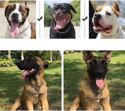 Chain Dog Choker Collar for Large Dogs, Metal Slip Link Training Heavy Duty Dog Choke Collar Martingale Puppy Collars for Small Medium Large Big XL Breed Dogs (Silver, L) in Kuwait