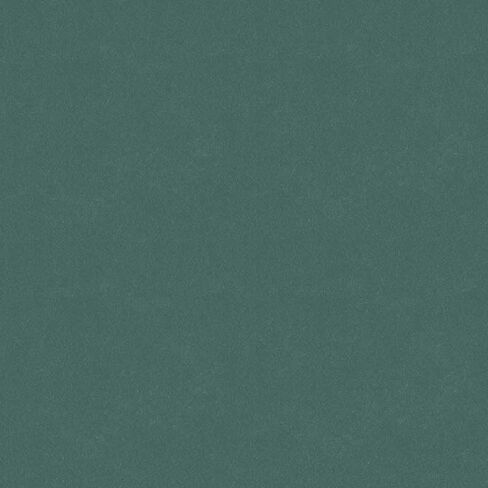 R&E Paint Supply متوافق مع Toyota 776 ، ALOE Green Pearl/Metallic Automotive Paint ، 11oz Aerosol in Saudi Arabia