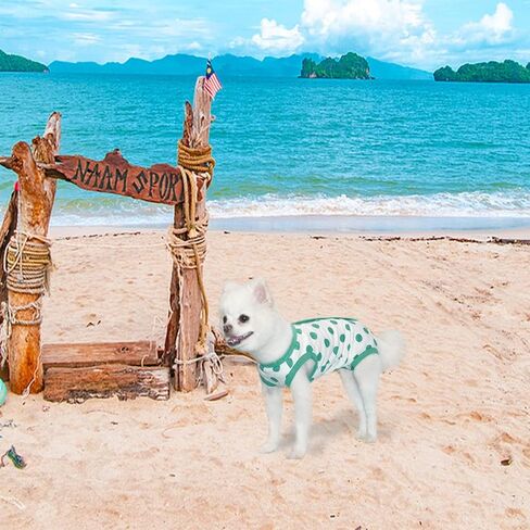 TONY HOBY Summer Dog Pajamas, Dog Sleeveless, Soft Breathable Dog Jumpsuit with Polka Dots (Black, M) in Kuwait