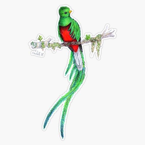 ملصق Quetzal ملصق Quetzal ملصق Vinyl شارات 5 "5" in Saudi Arabia