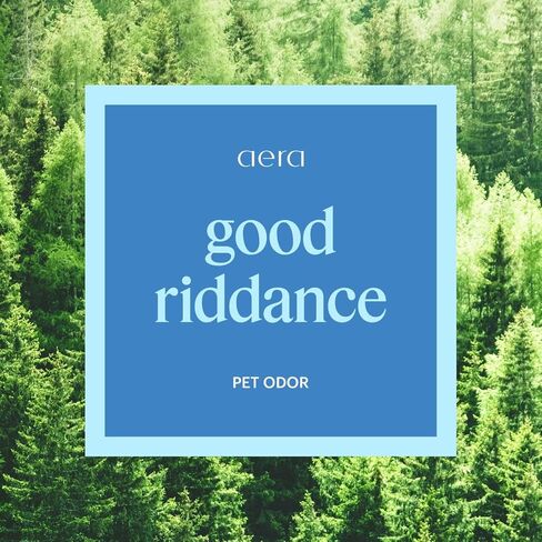 Aera Smart Home Fragrance Diffuser and White Tea Scent Refill Bundle - Alexa Compatible, Hypoallergenic, Family and Pet Safe, App Controlled in Kuwait