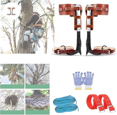 Tree Climbing Spikes Set, 304 Stainless Steel Adjustable Tree Climbing Spike 2 Gears and Non-Slip Pedal Trees, Picking Fruit in Saudi Arabia
