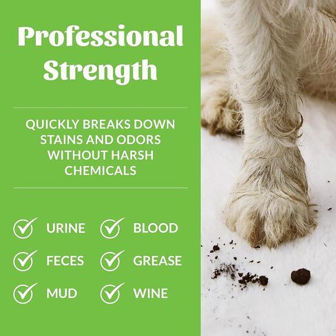Skout's Honor Pet Stain and Odor Remover - منظف قوي لبول الكلاب ، والعرق ، وغيرها من الفوضى ، ويدمر ويزيل جزيئات الرائحة وصمة عار ، وصيغة صديقة للبيئة للسجاد والمنزل ، 128 أوقية in Kuwait