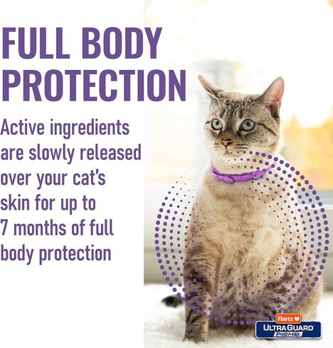 هارتز Ultraguard Promax Flea و Trick Twiber للقطط I 14 شهرًا حماية أنا ناعم ومريح | الوقاية من البراغيث والقراد أنا 2 عبوة in Kuwait