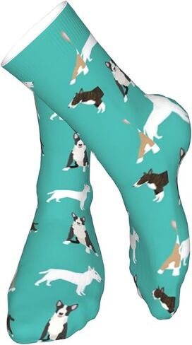 AOTOSE Bull Terrier Simple Terriers Dog Breed الرجال الجوارب الرياضية الكاحل وسادة الجري الجوارب للرجال والنساء الجوارب القطنية طاقم الجوارب, أسود, One Size in Kuwait