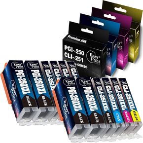 12-Pack (4 Large BK+ 2 Small BK+ 2 C+ 2 M+ 2Y) Compatible PGI-250XL CLI-251XL Ink Cartridge 250XL 251XL Used for Canon PIXMA MG-5420 5520 6320 6620 7120 7520 IP7220 MX922 IX6820 Printer, by EasyPrint