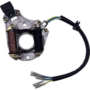 2 Coil Stator Ignition Magneto Plate for Chinese ATV 50cc 70cc 90cc 110cc 125cc Quad Dirt Bike for Taotao Sunl