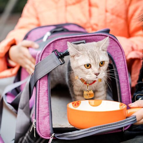 Mr. Pen- Pet Carrier, Cat Carrier, Dog Carrier, Cat Bag Carrier, Cat Travel Carrier, Soft Cat Carrier, Dog Travel Carrier, Pet Travel Carrier, Dog Soft-Sided Carriers in Saudi Arabia