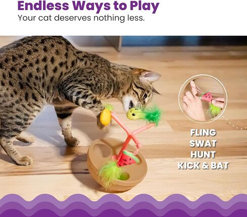 لعبة Catstages Meow-smerizing Fish Bowl Cat مع لعبتين مائيتين، تتضمن لعبة أسماك السباحة الإلكترونية ولعبة السلحفاة العائمة، باللون الأزرق in Kuwait