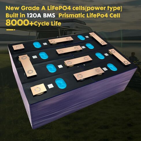 بطارية 12V 100AH LIFEPO4 ، مدمجة 100A BMS 1280WH ، 8000+ بطارية بحرية DEEM CYCLE MARINE 12V ، بطاريات الليثيوم 12 فولت لمحرك التصيد ، الطاقة الشمسية ، RV وخارج الشبكة in Saudi Arabia