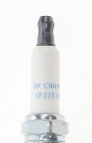Spark Plug in Saudi Arabia
