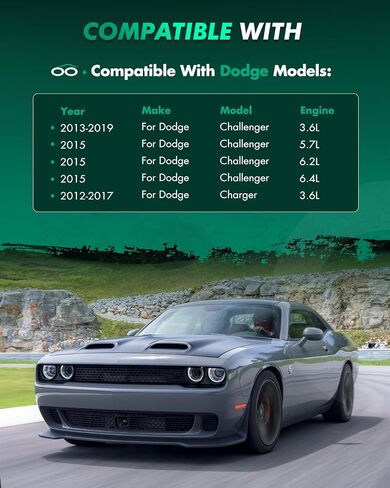 SCITOO 2Pcs Struts and Shocks Complete Assembly for Dodge Challenger,for Dodge Charger 172665 Shock Absorber in Saudi Arabia