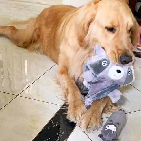 Jalousie 6 Pack Surprise Dog Toy Set Dog Squeaky Toys Dog Toys Toys Animal Character Dog Plush Toys for Betch Troam Play Date (6 Pack Surprise Mix) in Kuwait