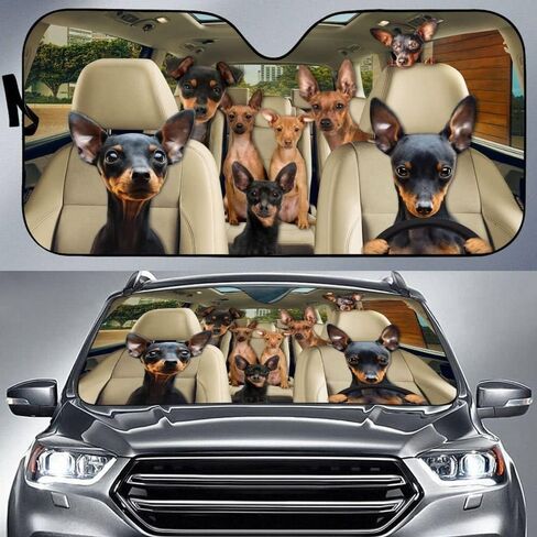 Windshield Sun Shade Miniature Pinscher Auto Sun Shield Privacy Blackout Keeps Your Vehicle Cool and Damage Free Easy to Use for Most Sedans SUV Truck Automotive 55x30in in Saudi Arabia