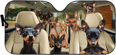 Windshield Sun Shade Miniature Pinscher Auto Sun Shield Privacy Blackout Keeps Your Vehicle Cool and Damage Free Easy to Use for Most Sedans SUV Truck Automotive 55x30in in Saudi Arabia