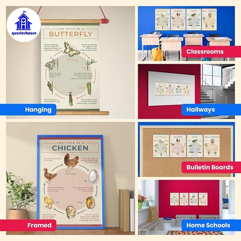 Quarterhouse Animal Groups Poster Set, Science Classroom Learning Materials for K-12 Students and Teachers, Set of 7, 12x18, Extra Durable in Kuwait