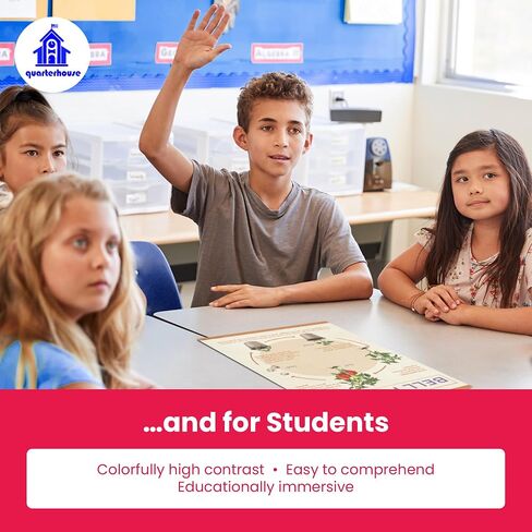 Quarterhouse Animal Groups Poster Set, Science Classroom Learning Materials for K-12 Students and Teachers, Set of 7, 12x18, Extra Durable in Kuwait