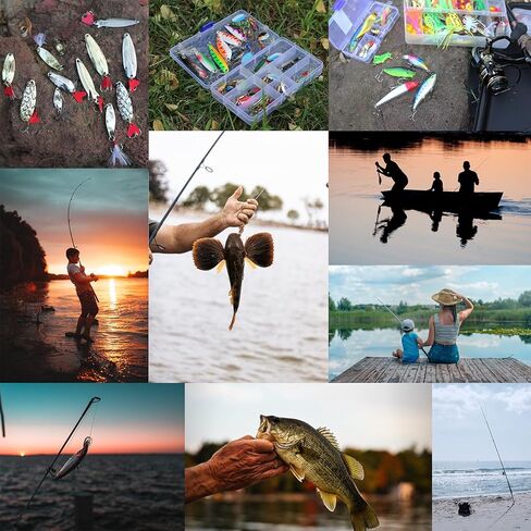 𝗘𝗫𝗔𝗨𝗥𝗔𝗙𝗘𝗟𝗜𝗦 مجموعة أدوات الصيد أدوات الصيد 147pcs معالجة مربع مينو crankbait spinnerbaits vib hooks hooks paddle swimbaits jigs ، ووزن إكسسوارات إغراء صيد الأسماك هدايا الصيد in Kuwait