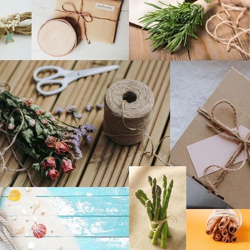 Premium Brazilian Sisal Twine, Natural Fiber 100% Sisal, Heavy-Duty, Ultra Durable, Ideal for DIY Projects, Home Decor, Gardening, Crafting, Gifting, Wrapping (164 ft / 50 m Coil) in Kuwait