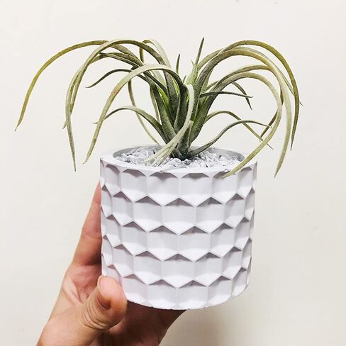 Concrete Flower Pot Silicone Molds Retro Pattern Art Design Silicone Planter Molds Succulent Plants Cement Clay Molds Epoxy Jewelry Storage Box Moulds in Kuwait