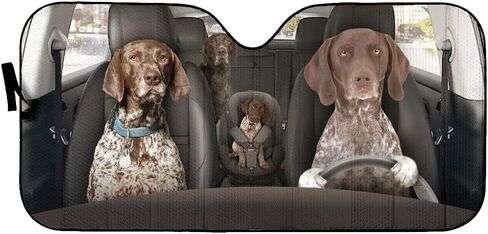 Windshield Sun Shade German Shorthaired Pointer Car Sun Shade Cover Protect Your Car ​from Sun Heat & Glare Keep Your Vehicle Cool for Most Sedans SUV Truck Automotive 55x30In in Saudi Arabia