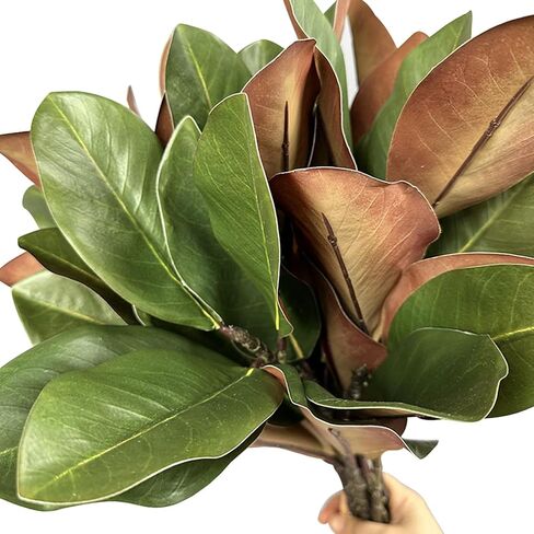 4Pcs Artificial Magnolia Leaves with Stems Fake Magnolia Leaf Branches Fake Greenery Stems for Home Indoor Outdoor Party Office Table Centerpieces Decor in Saudi Arabia