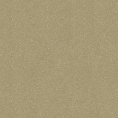 R&E Paint Supply Compatible with Nissan E12, Light Gold Metallic Automotive Paint, 11oz Aerosol in Saudi Arabia